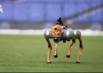 IPL 2025, AI in Sports, Robotic Dog, Sports Technology, Cricket Broadcast Innovation, BCCI Tech