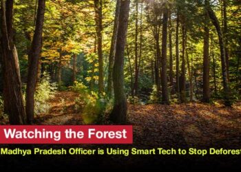How a Forest Officer in Madhya Pradesh is Using Artificial Intelligence to Stop Deforestation Before It Starts